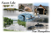Squam Lake, NH - Collage - Square Format